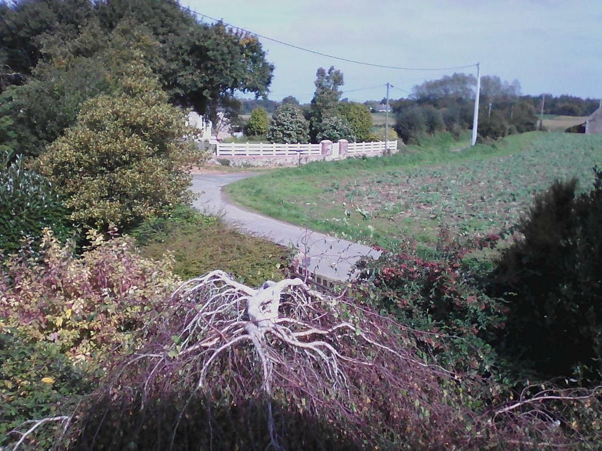 Gite Lezardrieux Kerbors Bagian luar foto
